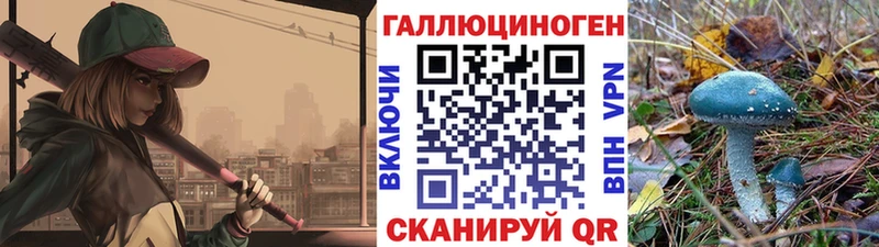 что такое наркотик  Камбарка  Псилоцибиновые грибы Magic Shrooms 